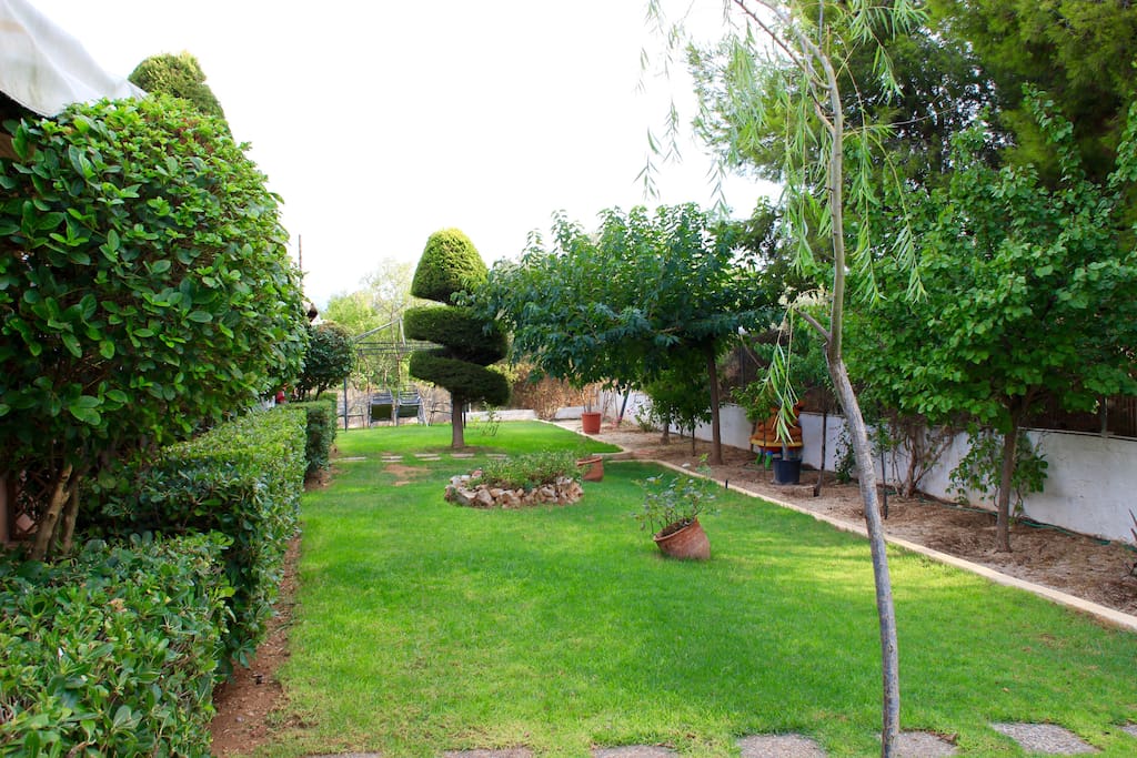 garden