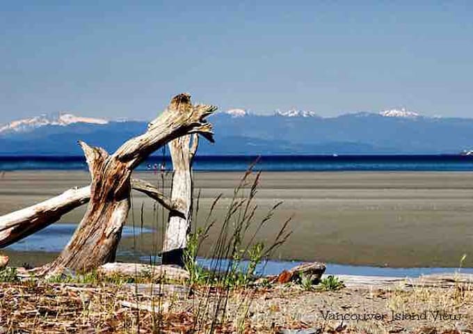 Airbnb Parksville Vacation Rentals Places To Stay British