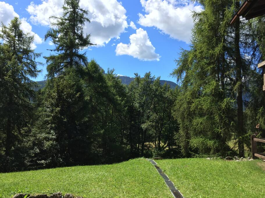 Vista dal prato di fronte all'ingresso - View from the front yard