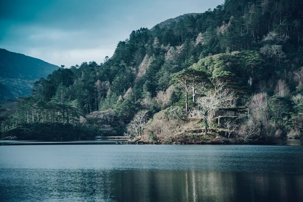 Glanmore lake, just down the track, good for swimming.