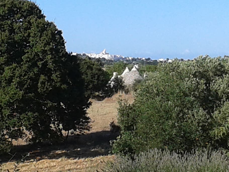 panorama su Locorotondo