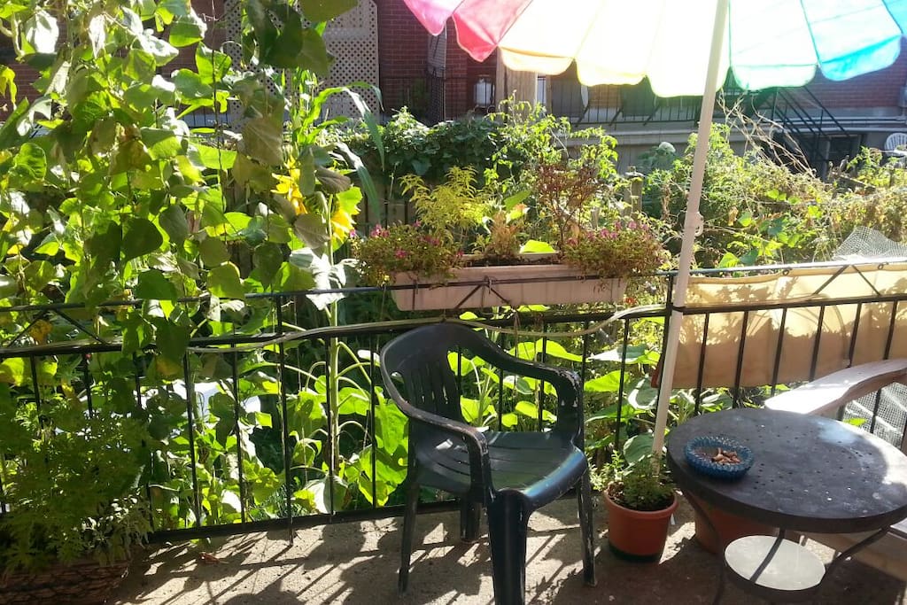 Super balcon ensoleillé qui donne sur le jardin