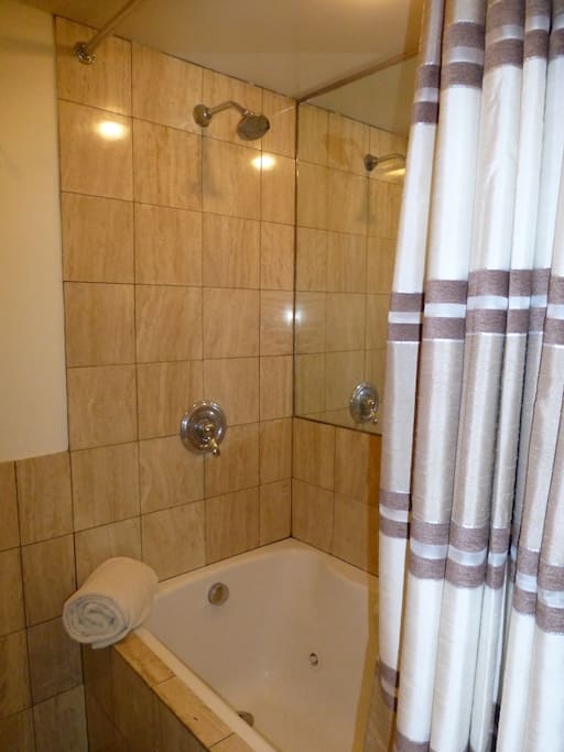 Master bathroom