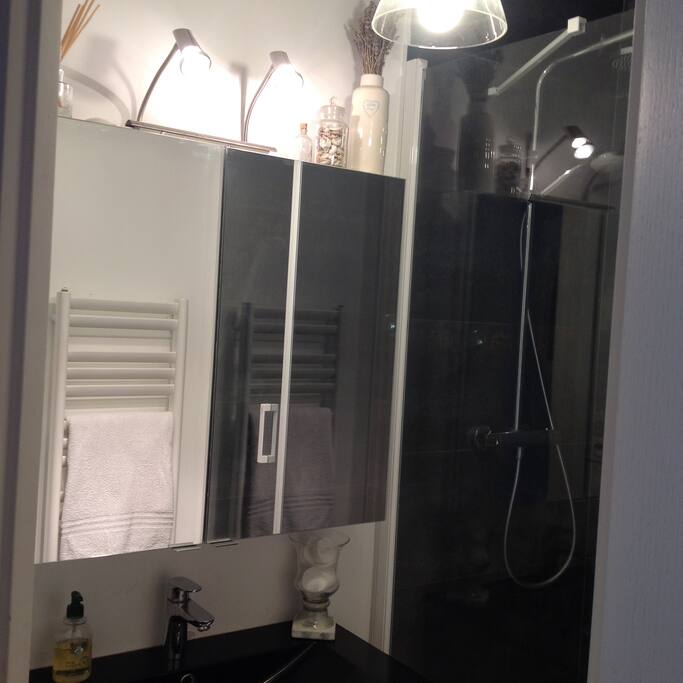 Shower Room