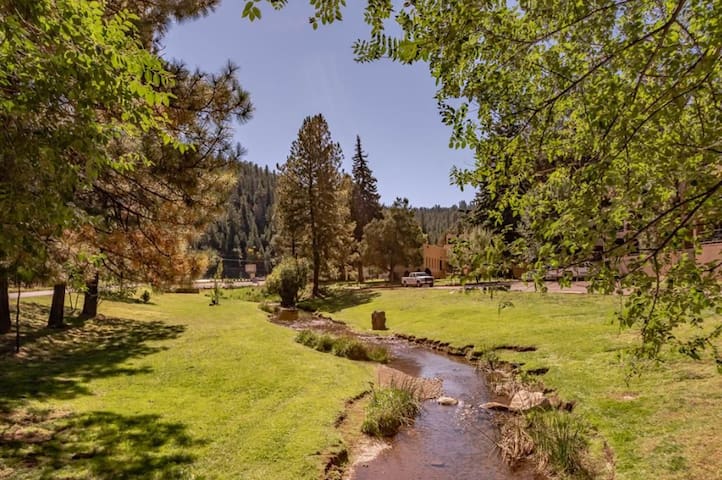 The Place at Carrizo River