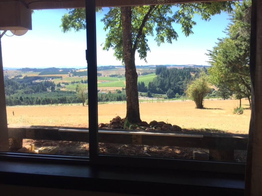 Queen Bedroom View