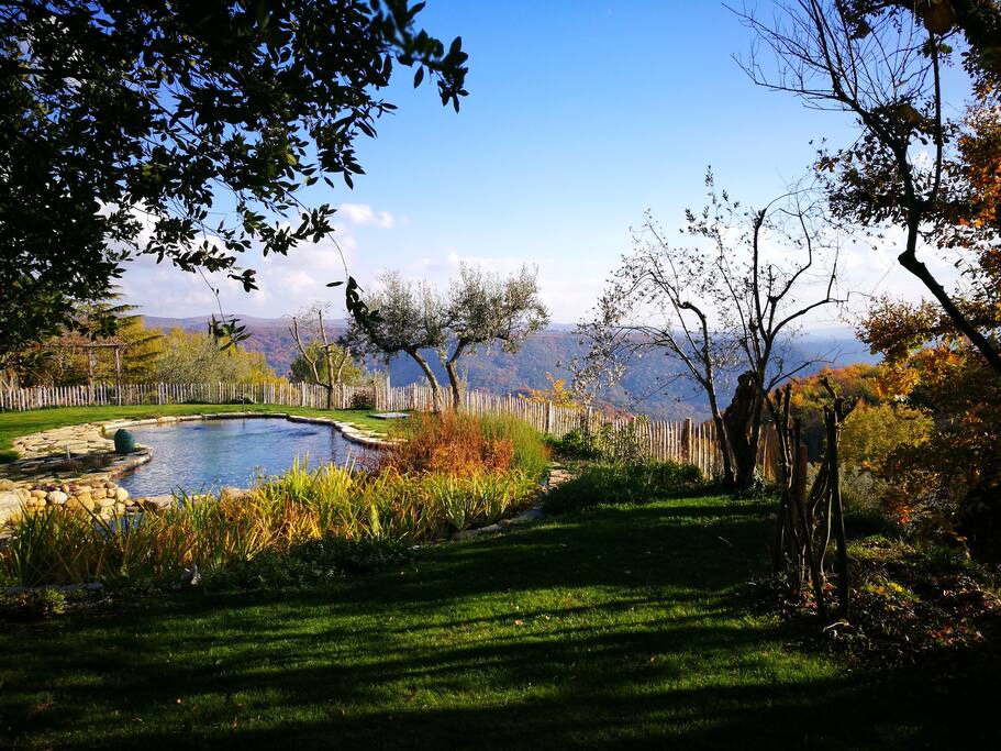 swimmingpond with shaded field, end november