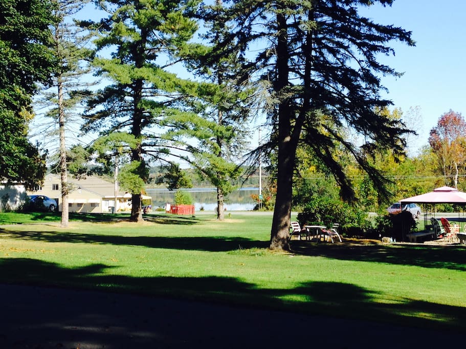 View of Lake from Property