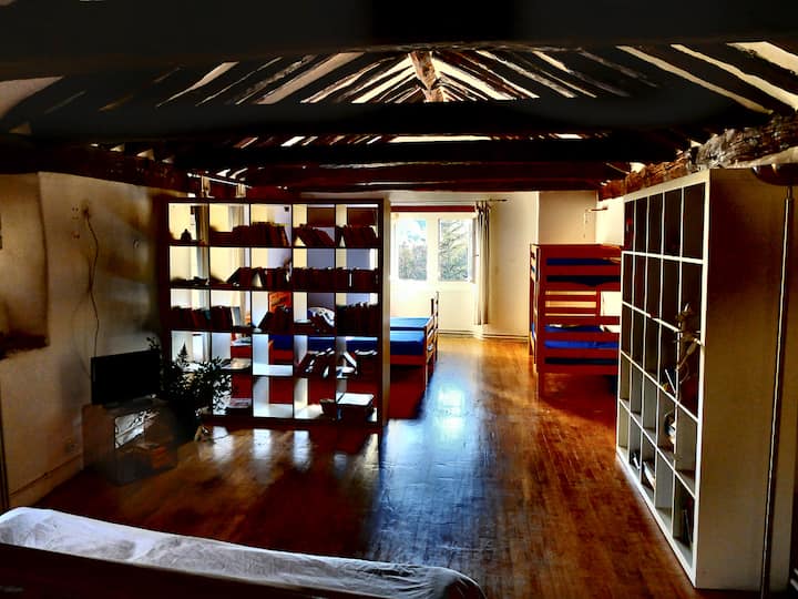 Hameau de la Maziere，塞文山区的小屋，"sous les figues"小屋，可容纳4人，配备两张单人床和两张双层床。电视角和阅读沙发。