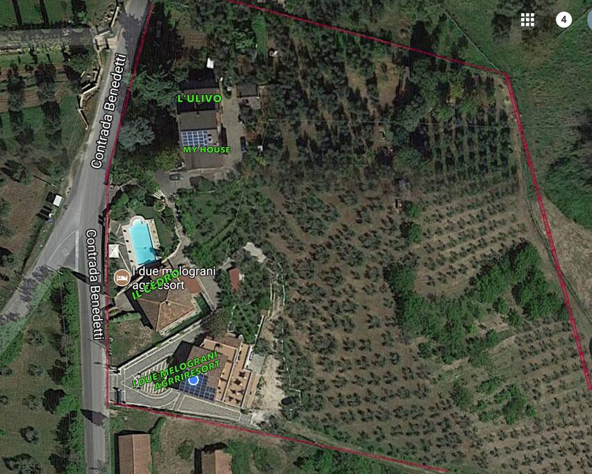vista aerea della proprietà "I DUE MELOGRANI" con distinta