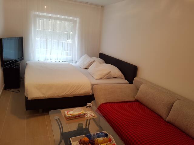 Room In Russelsheim Near Ffm Airport Kia Hyundai Official House In Ruesselsheim Germany 1 Bedroom 1 Bathroom