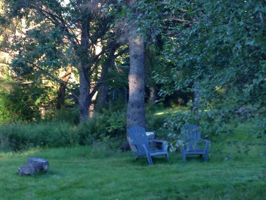 Back yard..walking/biking trails along the river