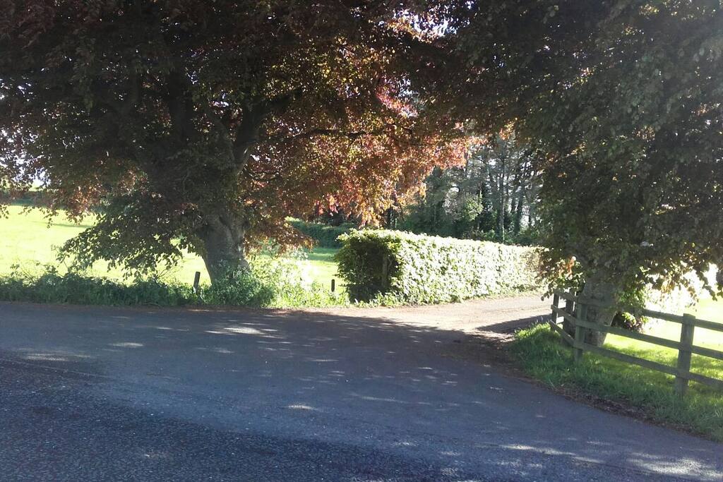 Lane entrance from the main road