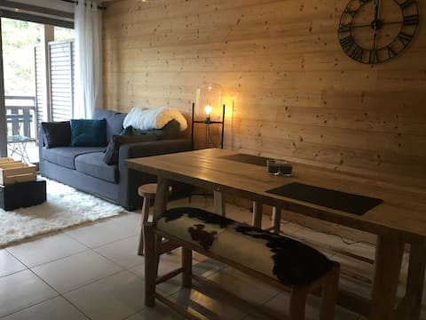 Apartment at the foot of the slopes Auris - Alpe d 'Huez