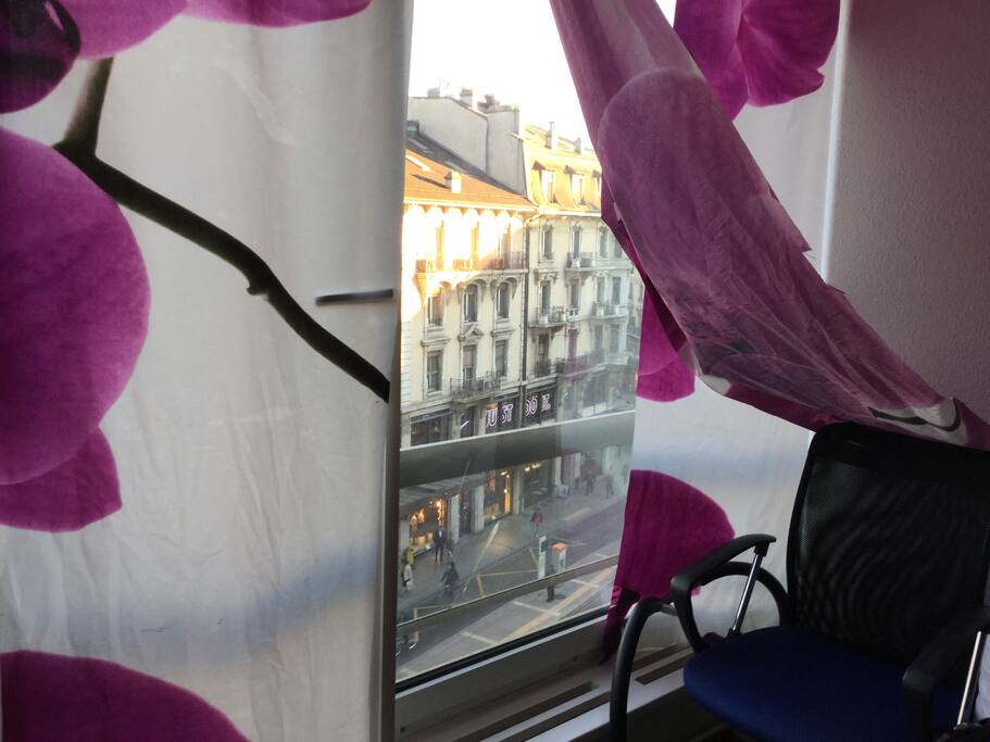 Vue depuis le salon