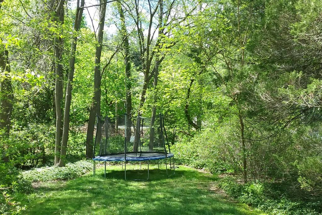 Trampoline in front yard