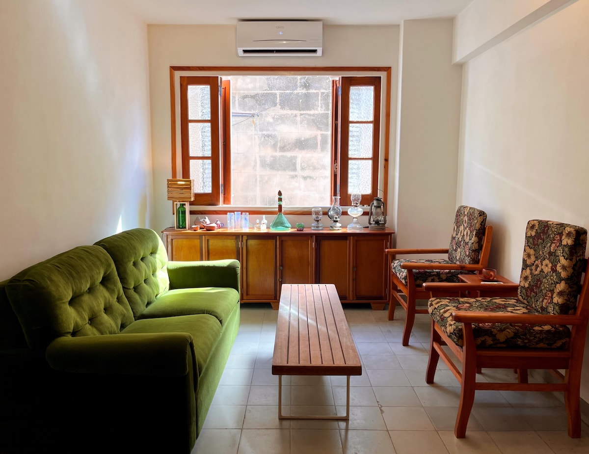 Მისაღები ოთახი კონდიციონერით და გასაშლელი დივანით