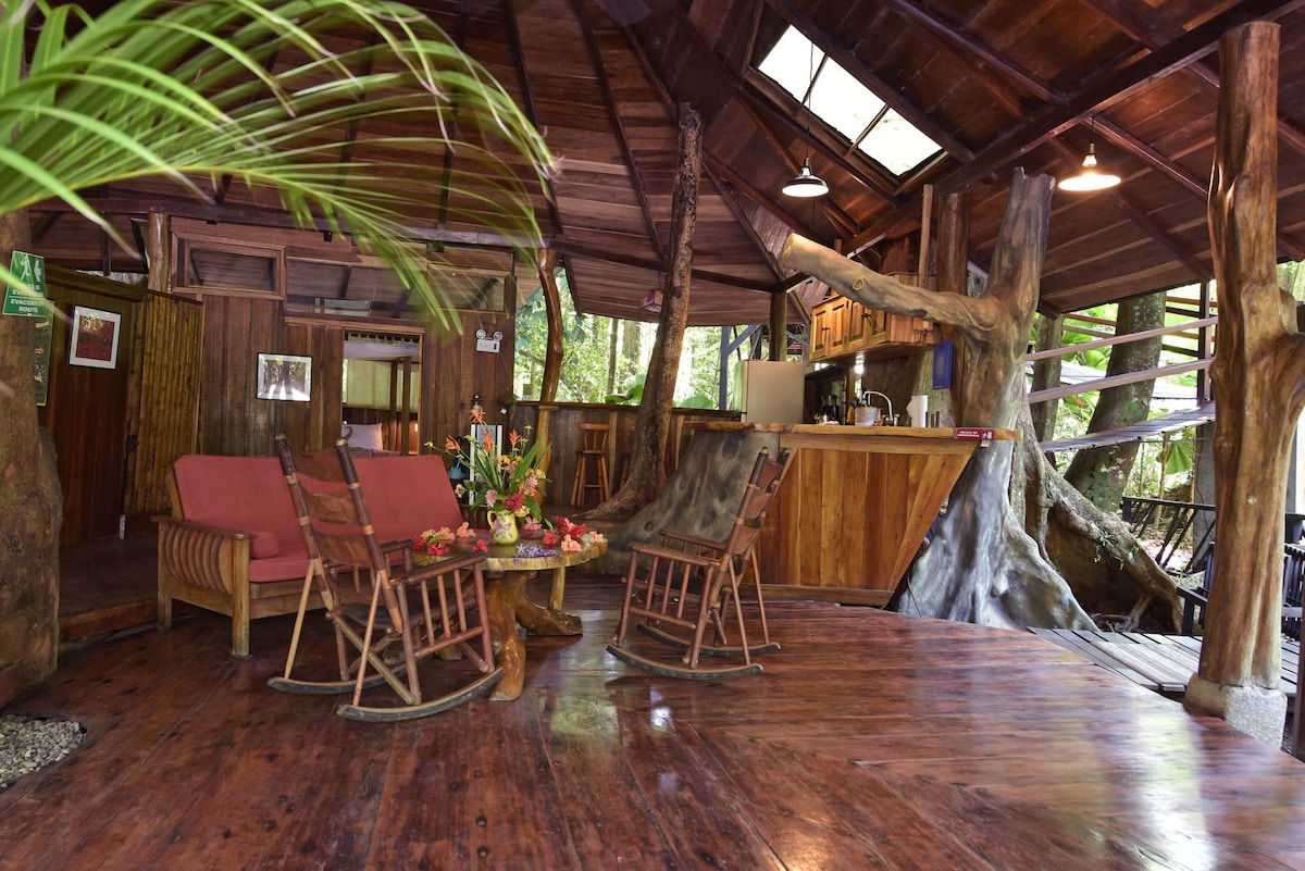 The open living space features natural wood finishes throughout, with a sloped wooden ceiling and large windows inviting nature inside. A kitchen area is partially visible, complemented by handcrafted furniture including two rocking chairs and a seating area with decorative floral arrangements.