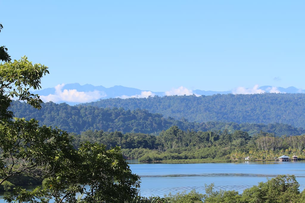 Vue panoramique d'Eden jungle lodge