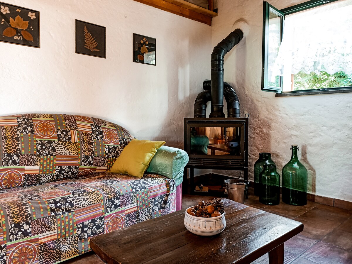 A comfortable living area is presented with a patterned sofa adorned with a green cushion. A small wooden table is positioned in front of the sofa, while a metal stove stands next to a window that opens to the outdoors. Two large glass bottles add to the rustic decor.