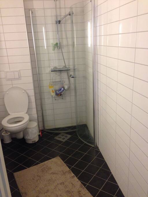 Shower and toilet