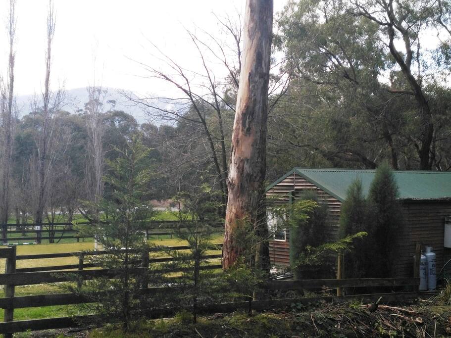 Looking out over The Warburton Rail Trail