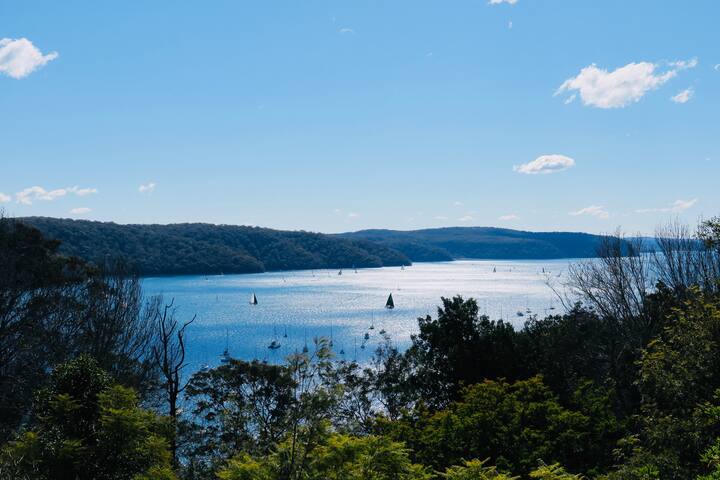 Panoramic Water Views in Treetop Luxury