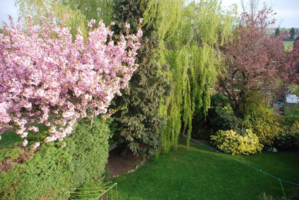 view of part of the garden