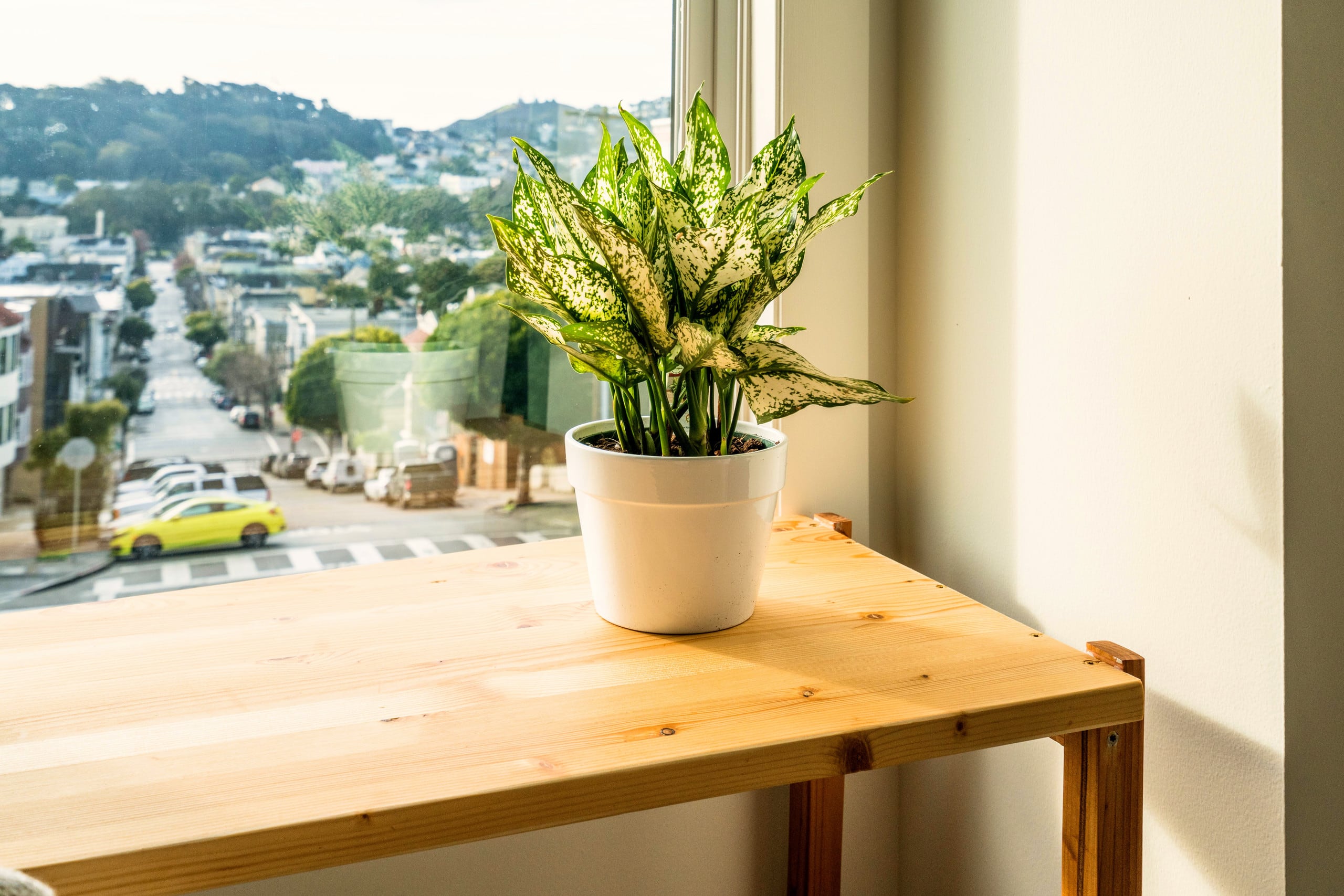 Home in San Francisco · ★4.98 · 3 bedrooms · 3 beds · 1 bath - Image 24