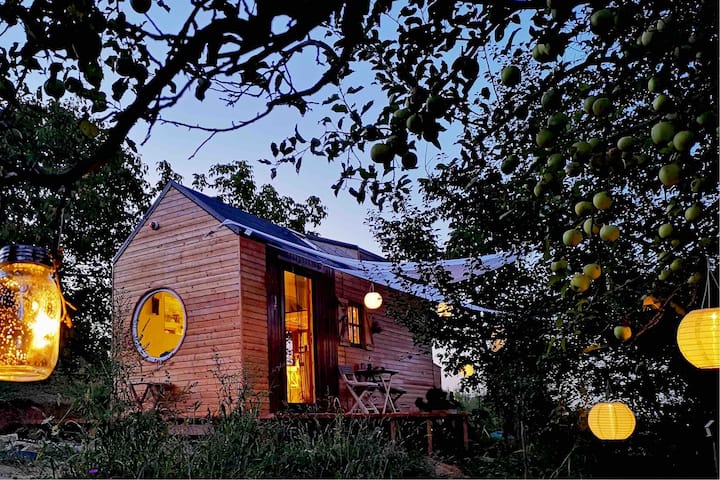 Tiny House On Wheels In An Infinite Green Oasis Tiny Houses For Rent In Gura Raului JudeÈ›ul Sibiu Romania