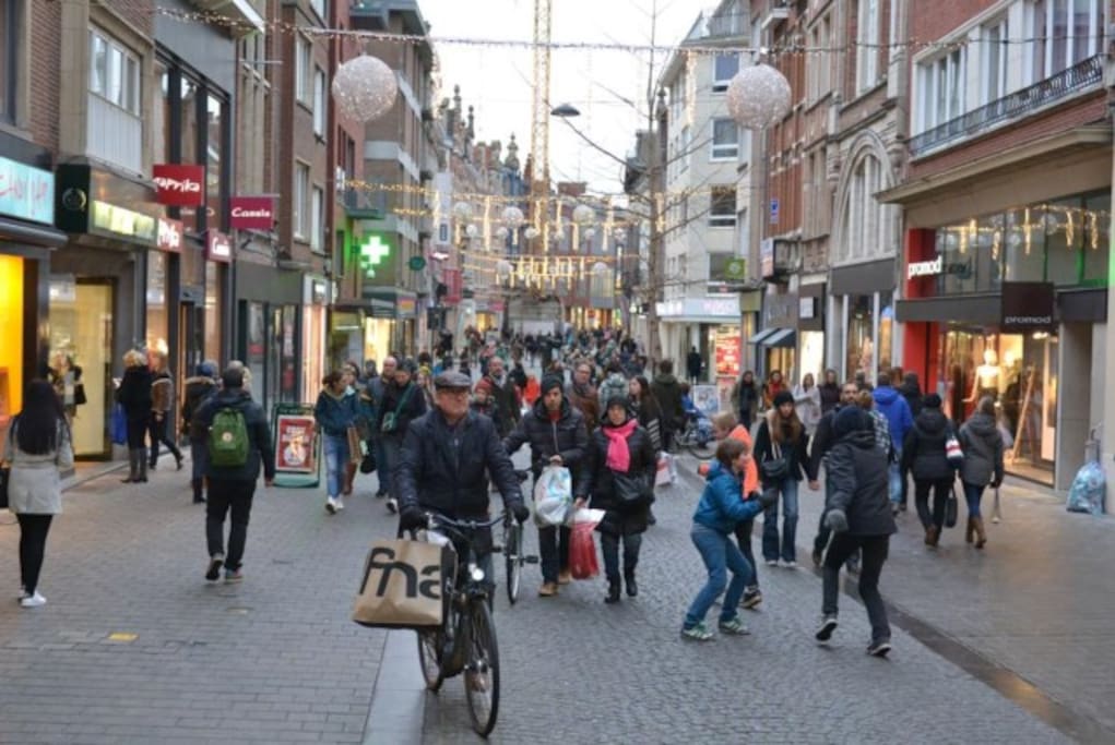 Shoppingstreet op wandelafstand (3min)