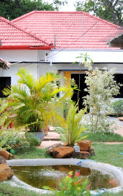 Fish Pond in Garden