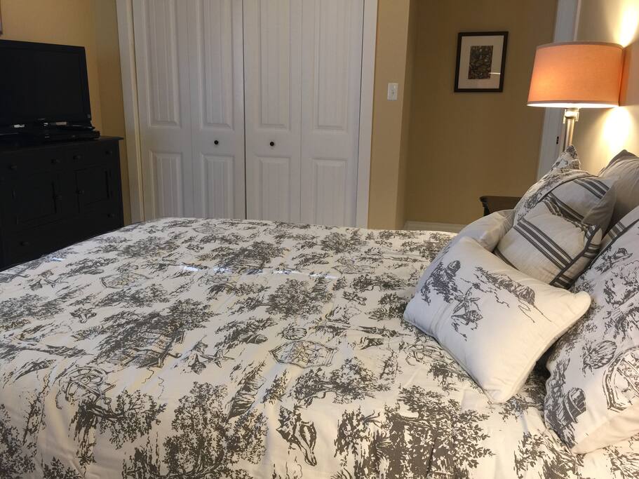 TV, BluRay player, large closet, queen bed