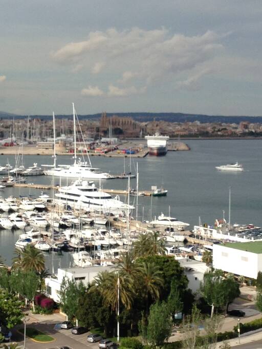 view from the balcony