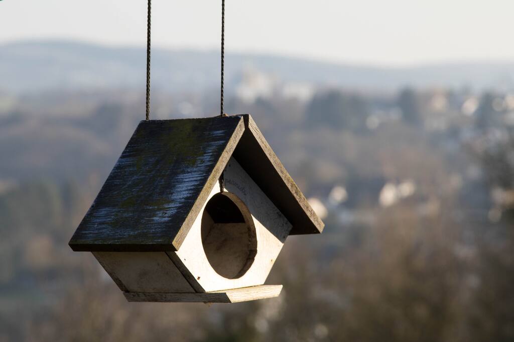 Garten mit Aussicht vor der Wohnung