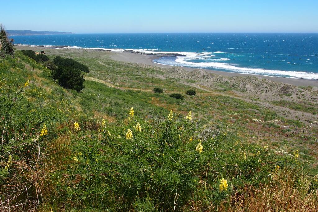 la bajada a la playa