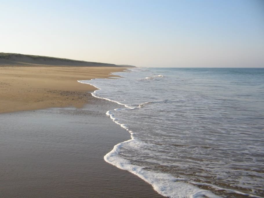 la plage des dunes