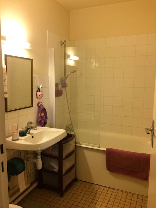 Salle de bain avec toilettes