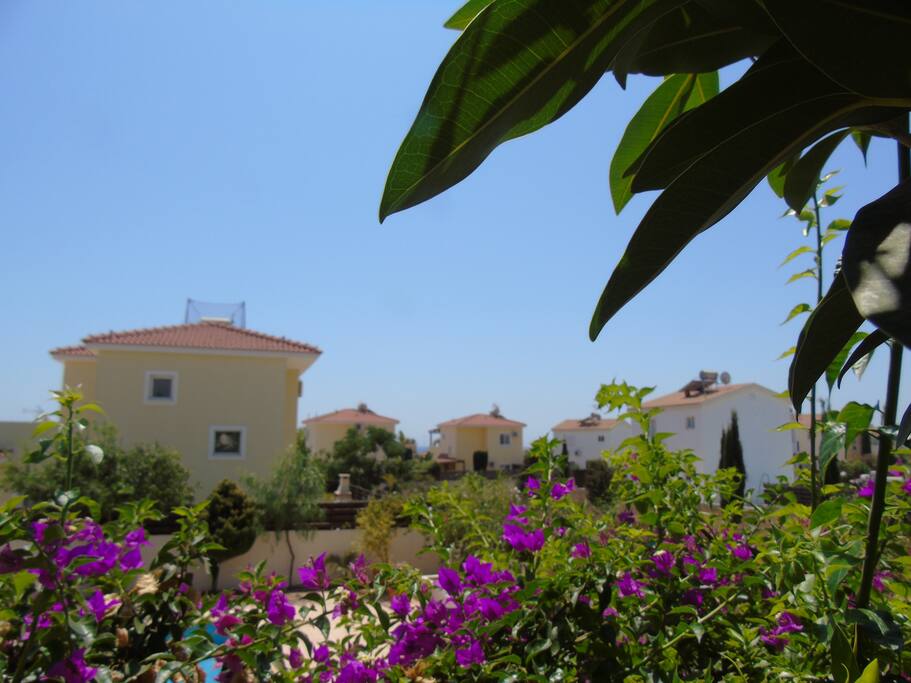 View towards the sea