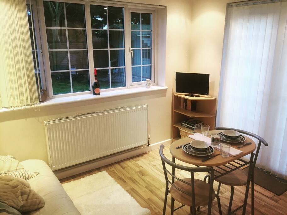 Living area with TV and sofa bed.