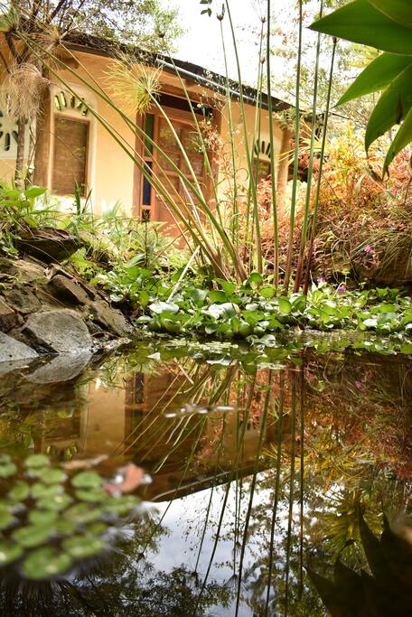 Fachada segundo nivel y Jardín exterior