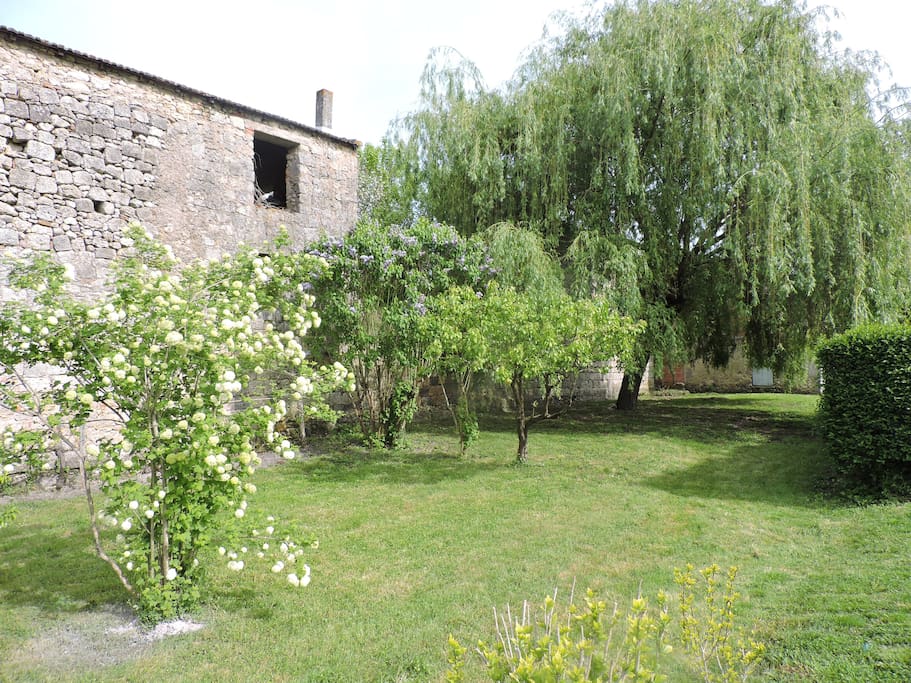 jardin