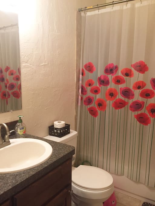 Upstairs guest bathroom. You will have this bathroom all to yourself while you are with us.