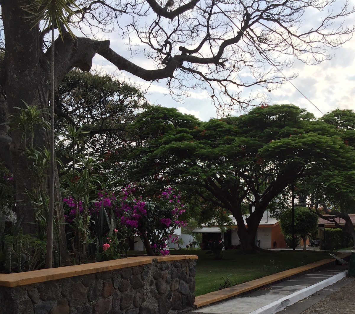 A spacious outdoor area features lush greenery, including large trees with vibrant, leafy canopies. Bougainvillea plants add color with their bright flowers. A stone border outlines the landscaped garden, while a paved path leads through the inviting space.