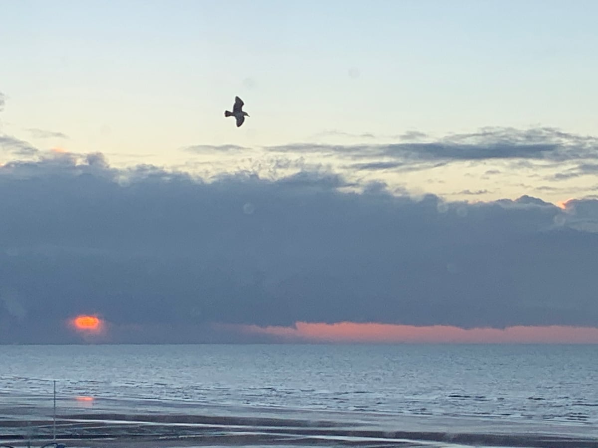 The image features a serene seaside view at dusk, with the sun partially obscured by clouds on the horizon. A bird is seen flying over the tranquil water, reflecting soft hues of orange and blue in the sky.