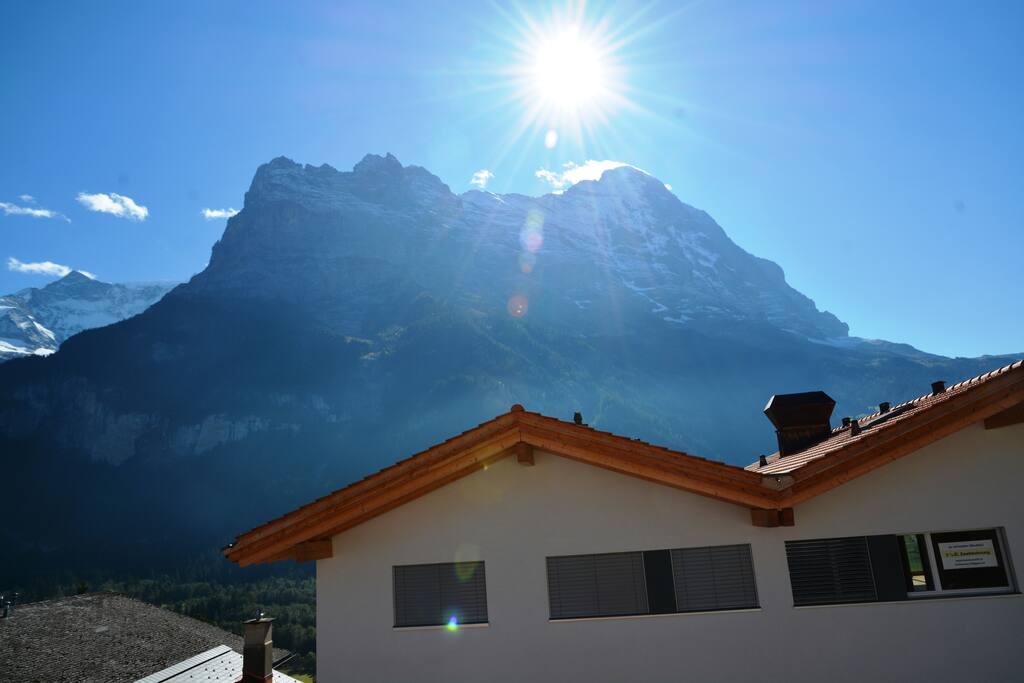 Aussicht im Sommer