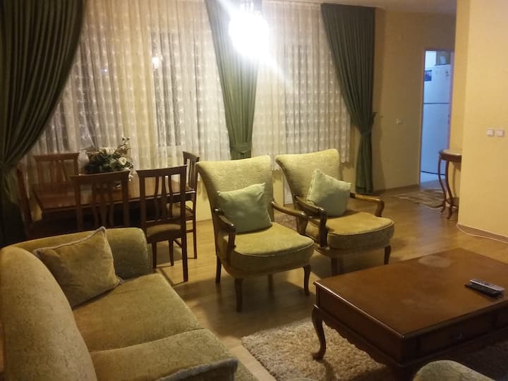 Furnished Flat in city center Nature View Ankara