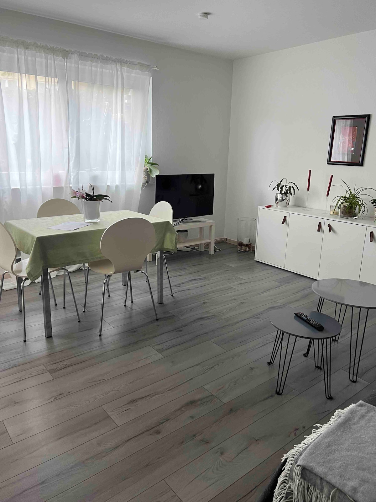 A bright living area features a light-colored table surrounded by six chairs. A TV is displayed on a low stand, complemented by two small side tables. Natural light filters through sheer curtains, creating a warm and open atmosphere. Indoor plants are positioned around the space.