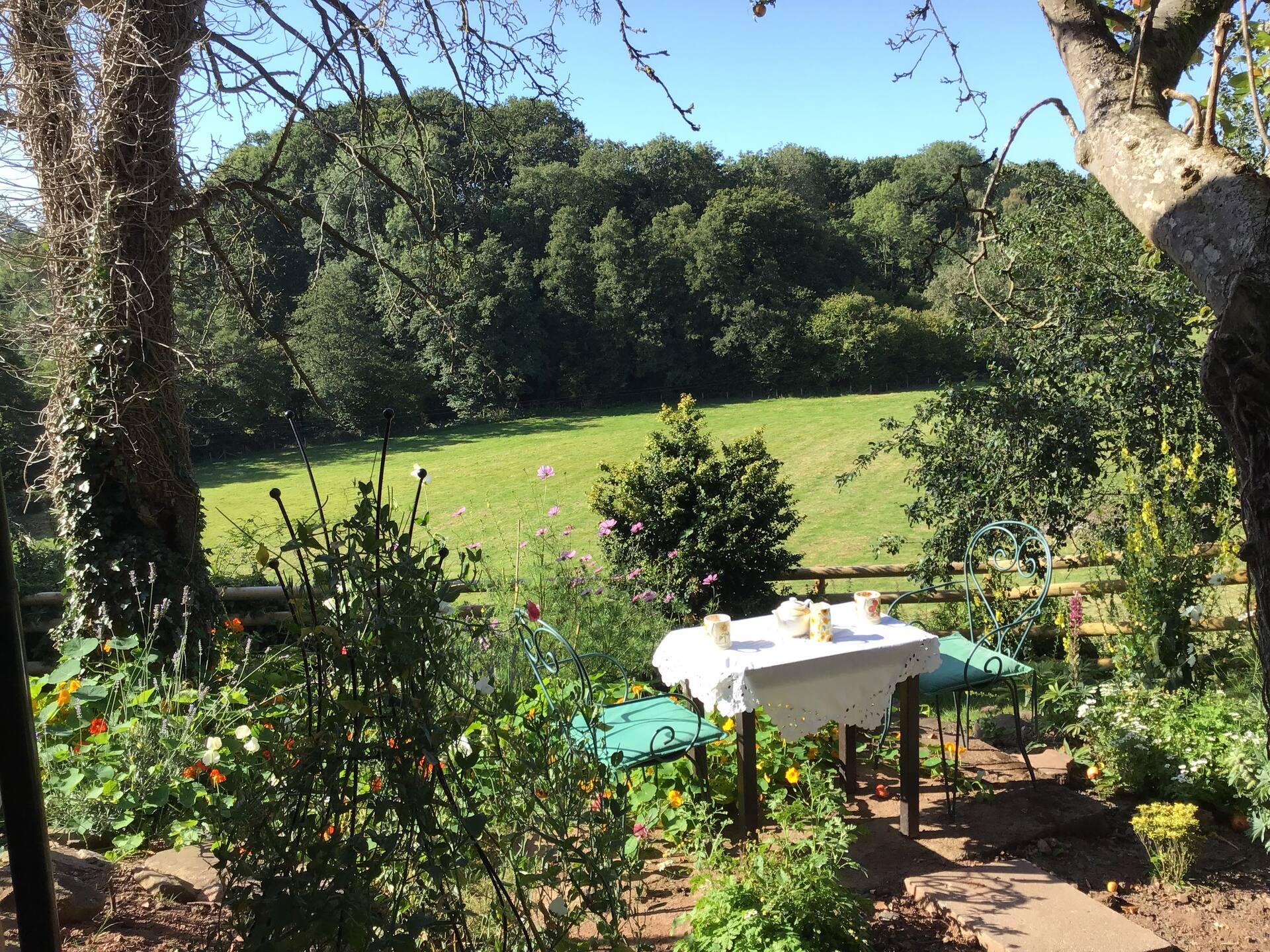 Haybridge Cottage,dog friendly annex in Shropshire