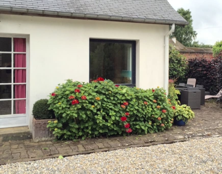 Des arbustes florifères partout autour de la maison